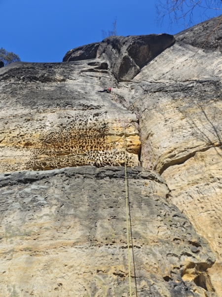 Bussardwand Bunte Wand