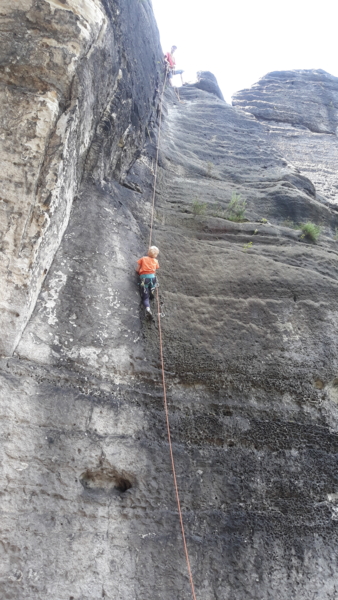 Honigstein Zauberrippe