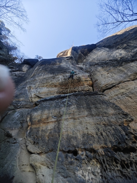 Bussardwand Südwand