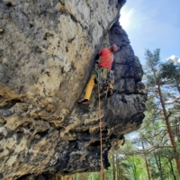 Falk Richter