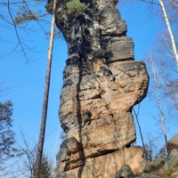 Falk Richter