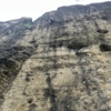 Schwarzwildturm Borste